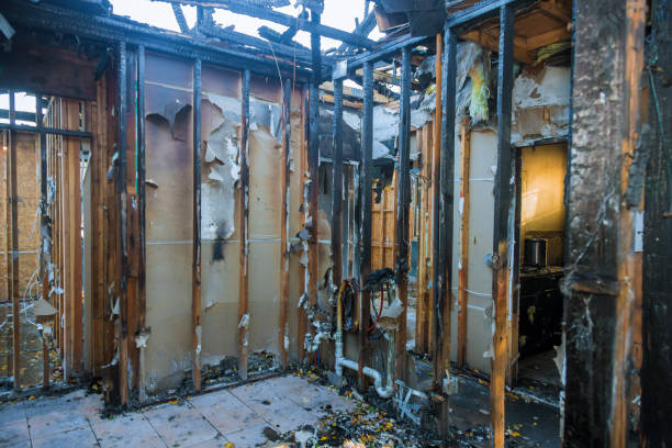 Professional Fire Damage Removal technician working in Henderson, KY